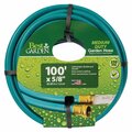 Swan Colorite Do it Medium-Duty Garden Hose DBWF58100